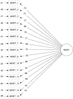 Validation of the muscularity-oriented eating test in adult women in China